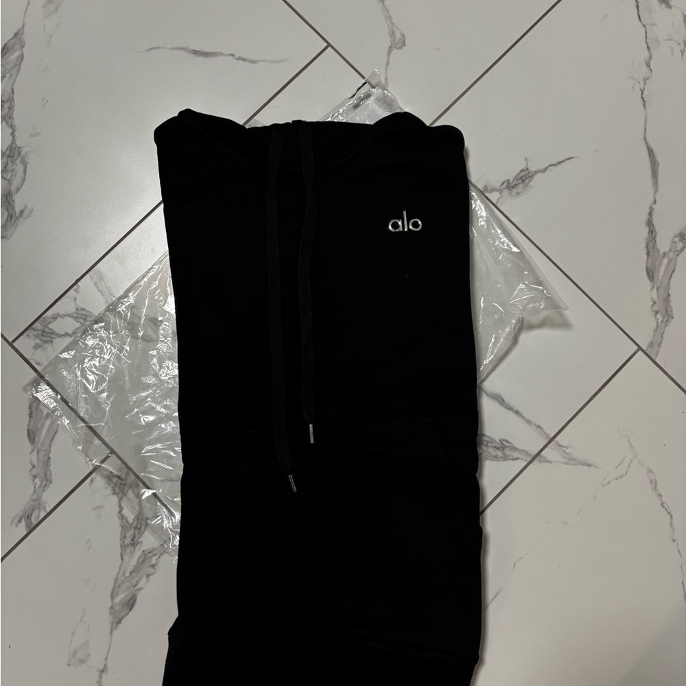 ALO Yoga Men's Dark Hoodie Sweater - Picture 3 of 6